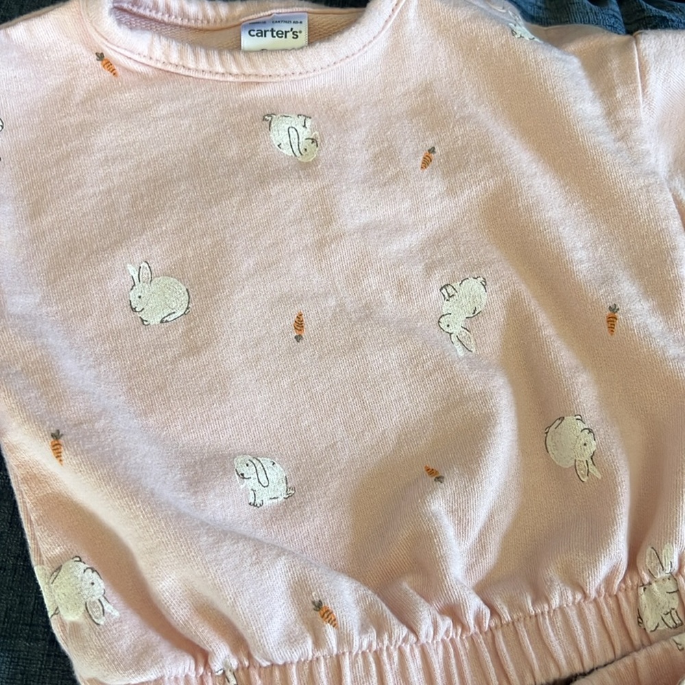Carter’s Bunny Sweatsuit Outfit - Picture 2 of 6